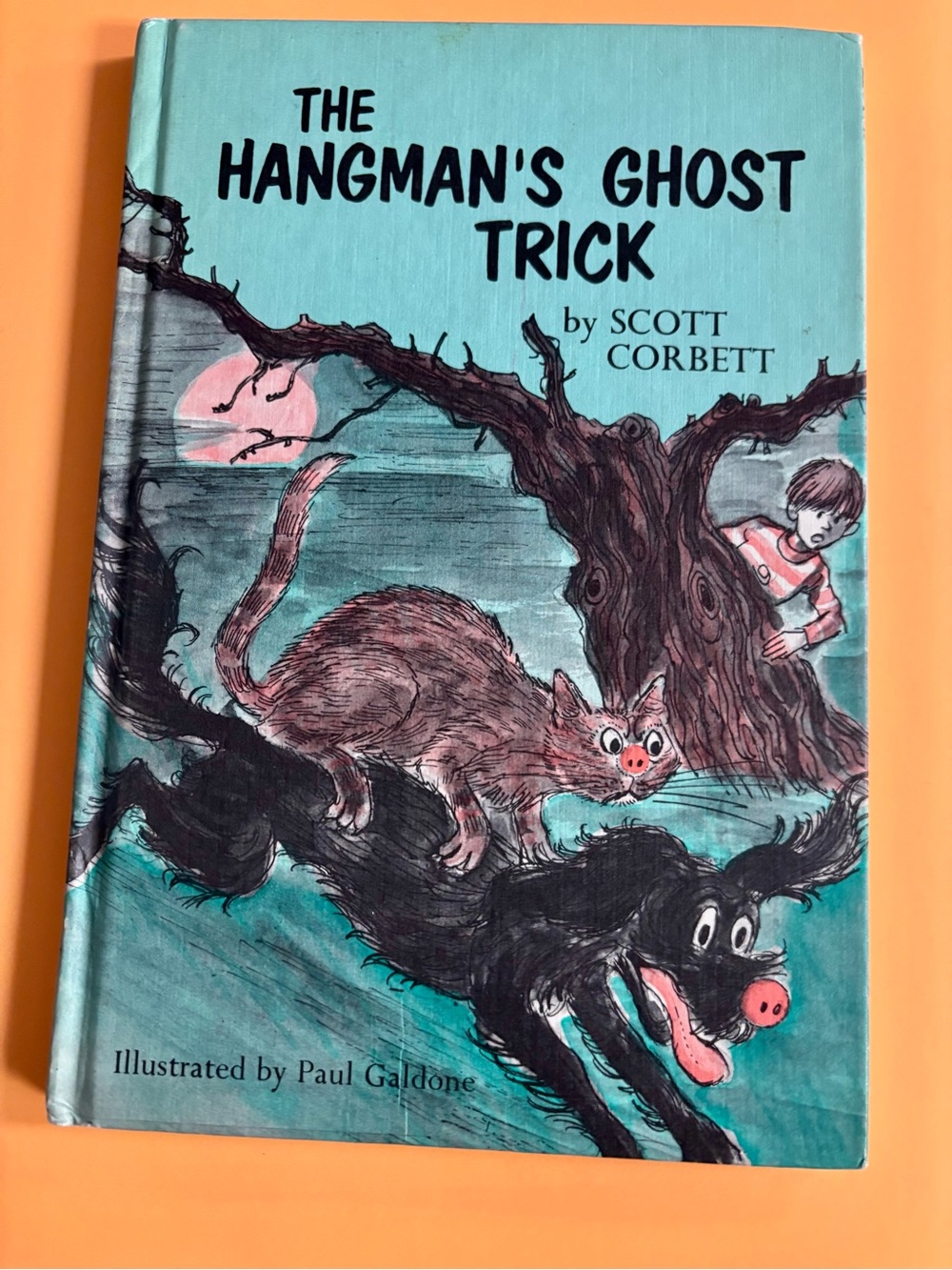 The Hangman’s Ghost Trick Book